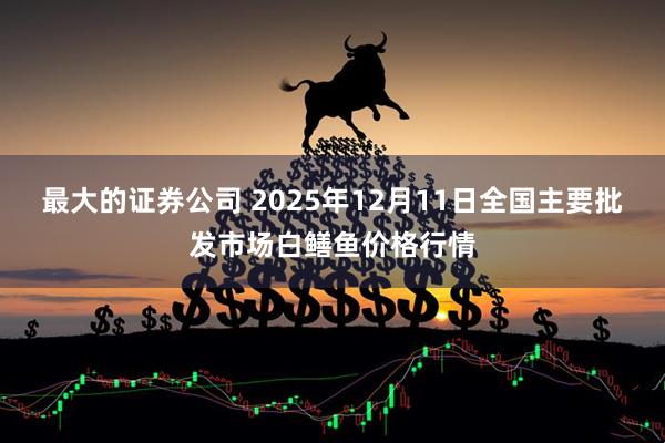 最大的证券公司 2025年12月11日全国主要批发市场白鳝鱼价格行情