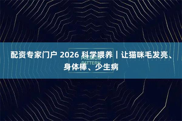 配资专家门户 2026 科学喂养|让猫咪毛发亮、身体棒、少生病