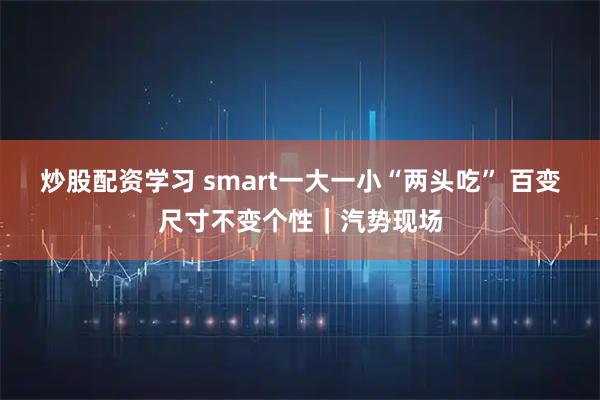炒股配资学习 smart一大一小“两头吃” 百变尺寸不变个性｜汽势现场