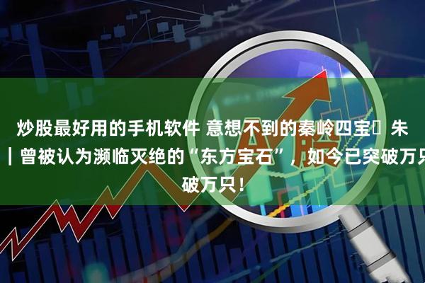 炒股最好用的手机软件 意想不到的秦岭四宝・朱鹮｜曾被认为濒临灭绝的“东方宝石”，如今已突破万只！
